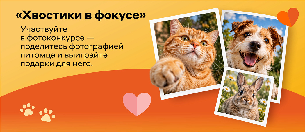 Фотоконкурс "Хвостики в фокусе"